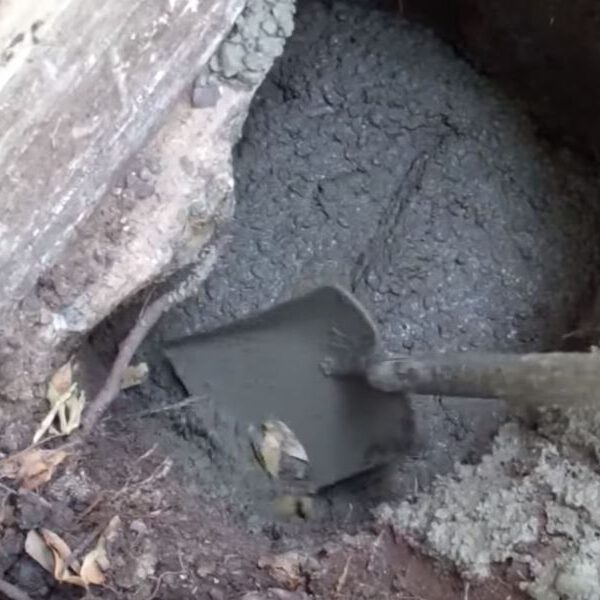 shovel in the cement